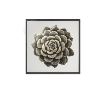 Gold Succulent B